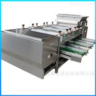 舜康海带海产品气泡清毒清洗机