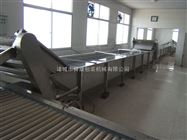 果蔬翻浪气泡清洗机 蔬菜多功能清洗机